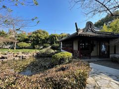 -上海醉白池公园