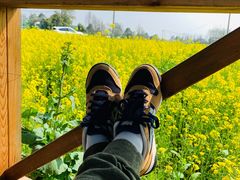 -桤木河湿地公园