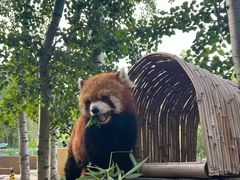 -北京野生动物园