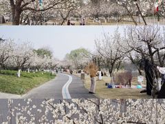 -国际非物质文化遗产博览园