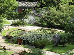 -深圳国际园林花卉博览园