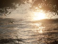 -宝安西湾红树林湿地公园