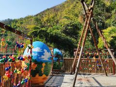 -西双版纳原始森林公园