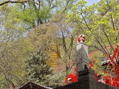 -天津盘山风景名胜区