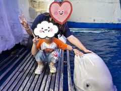 -秦皇岛乐岛海洋王国