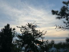 -千岛湖天屿景区