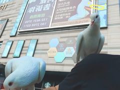 -IPARK购物中心