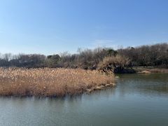 -同里国家湿地公园