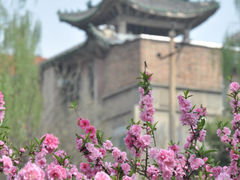 -碑林公园