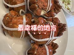 -品鲜村农家菜·阳澄湖大闸蟹(总店)