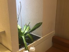 -奈雪的茶(石厦时代广场店)