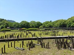 -河姆渡遗址博物馆