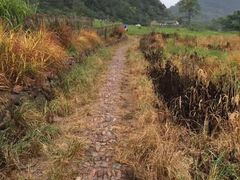 -会稽山峡洞漂流-上青古道