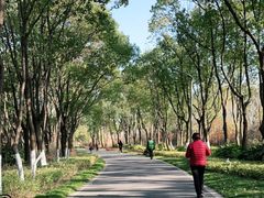 -昆山城市生态森林公园