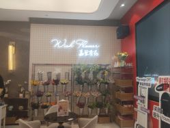 -云南吴氏嘉美医疗美容医院