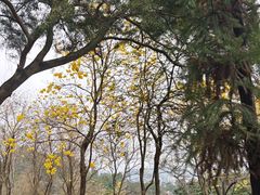 -中国移动南方基地