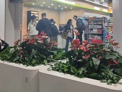 -石家庄正定国际机场-T2航站楼