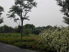 -尚贤河湿地