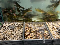 -金滏山烤肉·海鲜·火锅自助餐厅(襄阳万达店)