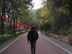 -金鸡山公园