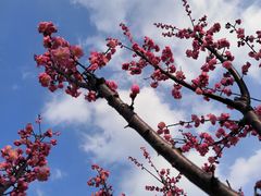 -天鹅湖体育公园