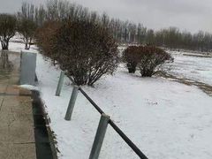 -丁香湖公园