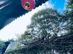 -惠山古镇·寄畅园