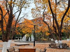 -山东大学(趵突泉校区)