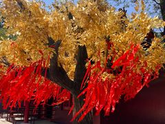-青岩寺风景区