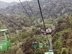 -野象谷景区