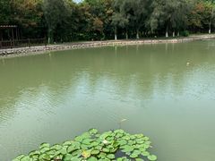 -乌石塘景区