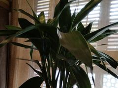 -果裹水汇(帅府店)