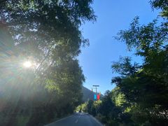 -终南山国家森林公园