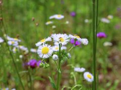 -杭州城北体育公园