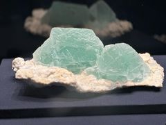 -山东博物馆