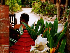 -Jonah's Fruit Shake & Snack Bar