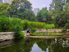 -成都市活水公园