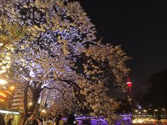 -红星桥(地铁站)