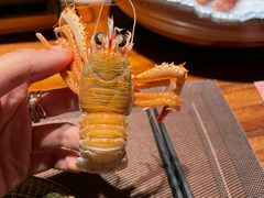 -一本料理(西溪天街店)