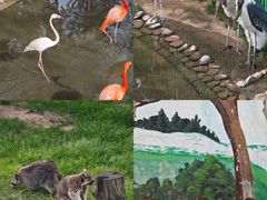 -西霞口神雕山野生动物世界