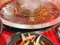 -谭鸭血老火锅(漳州路店)