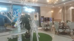 -同远QQBABY亲子摄影(北京路店)
