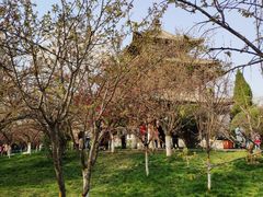 -西安青龙寺遗址景区