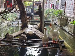 -优之名鹅城