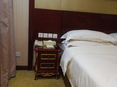 -维也纳国际酒店·上海虹桥火车站国家会展中心店