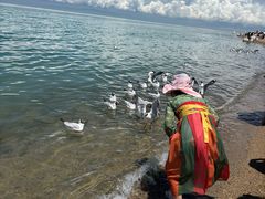 -青海湖国家重点风景名胜区
