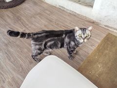 -小时光咖啡馆(北锣鼓巷店)
