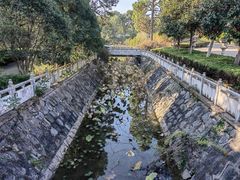 -开福禅寺