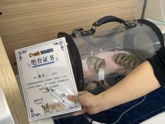 -达爱动物医院·犬猫分区·CT·复杂眼科(远洋山水分院)