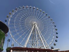 -青岛嘉年华主题乐园